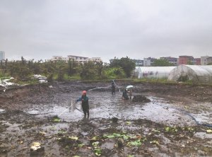 隆化河道鱼塘清淤